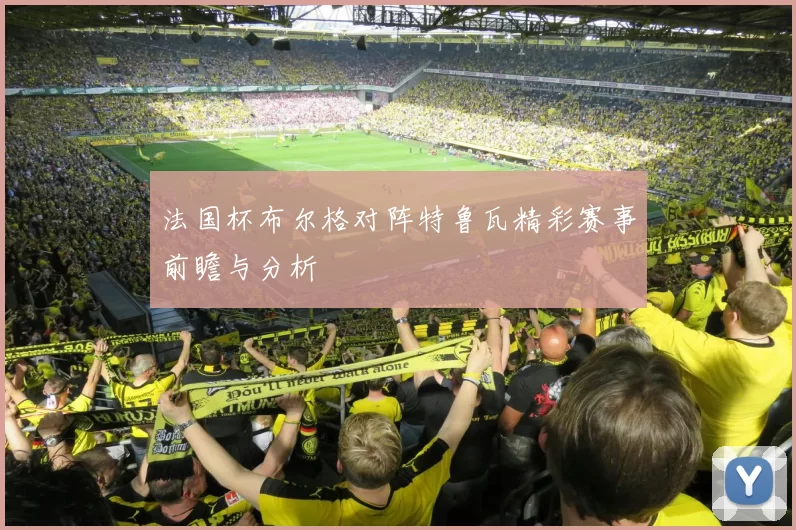 法国杯布尔格对阵特鲁瓦精彩赛事前瞻与分析