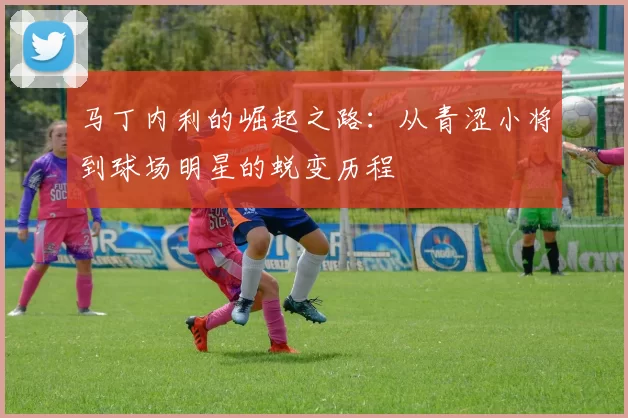 马丁内利的崛起之路：从青涩小将到球场明星的蜕变历程