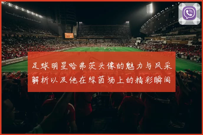 足球明星哈弗茨头像的魅力与风采解析以及他在绿茵场上的精彩瞬间