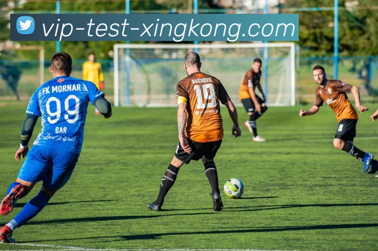 XINGKONG服务体系