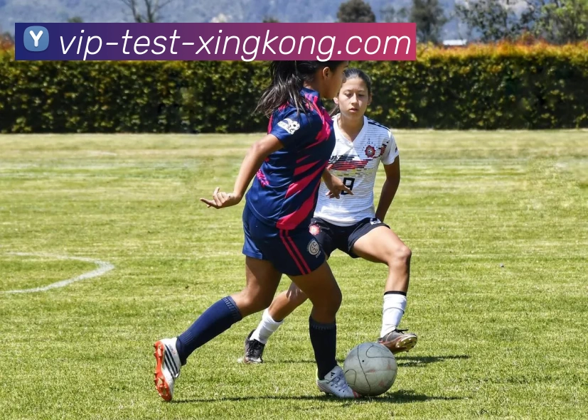 XINGKONGAPP 封面图